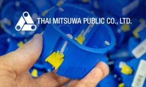 thai-mitsuwa-960px.jpg